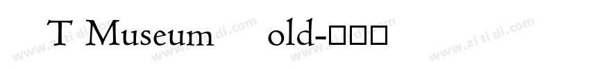 LT Museum Bold字体转换